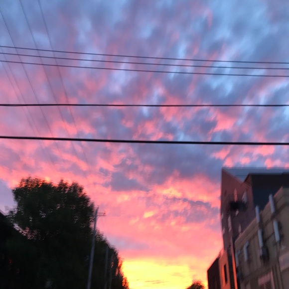 Meet your Posher, Olivia - Picture 1 of 1